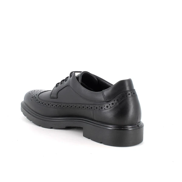 IGI&CO - Stringata nera inglese - 2101100
