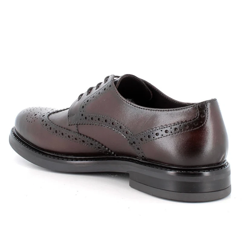 IGI&CO - Stringata marrone inglese - 2101111